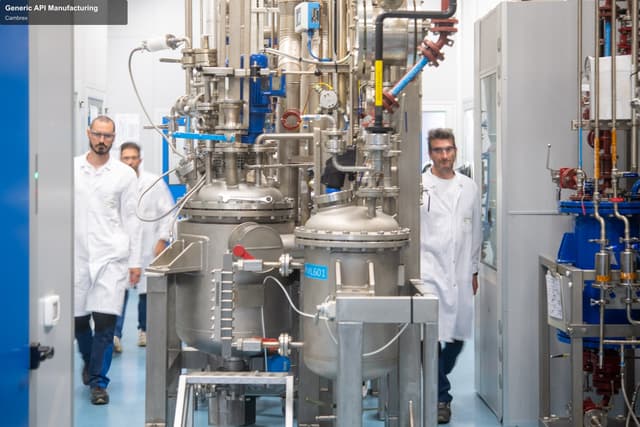 Cambrex offer service "Generic API Manufacturing"