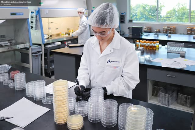Q Laboratories offer service "Microbiology Laboratory Services"