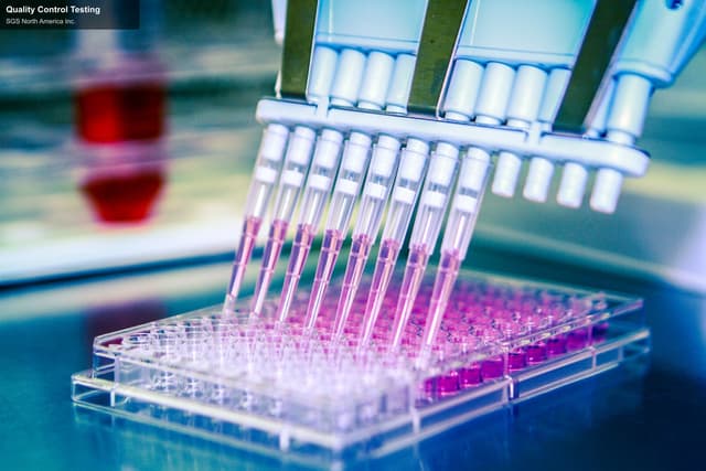 SGS North America Inc. offer service "Quality Control Testing"