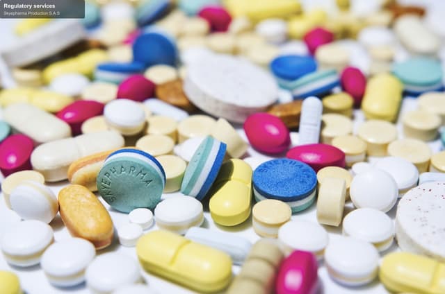 Skyepharma Production S.A.S offer service "Regulatory services"