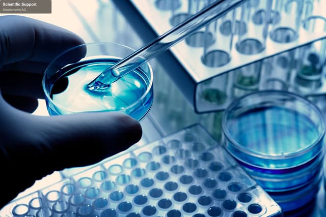 Selectchemie AG offer service "Scientific Support"