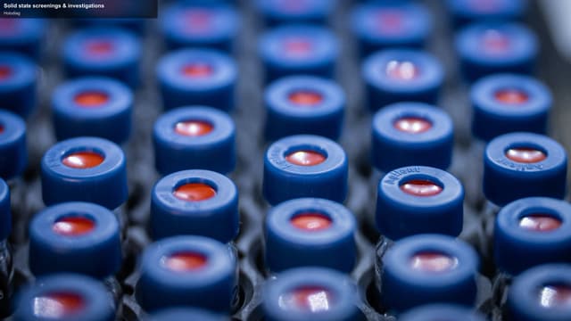 Holodiag offer service "Solid state screenings & investigations"
