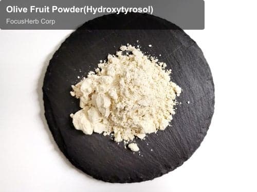Olive Fruit Powder(Hydroxytyrosol)