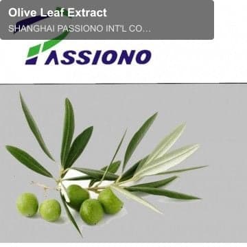 Olive Leaf Extract