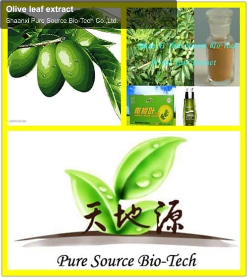 Olive leaf extract