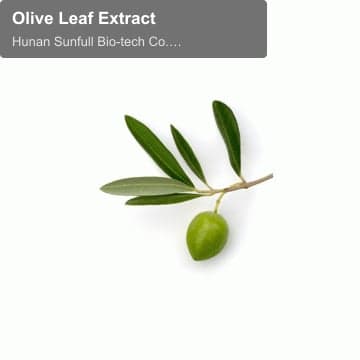 Olive Leaf Extract