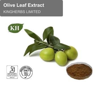 Olive Leaf Extract
