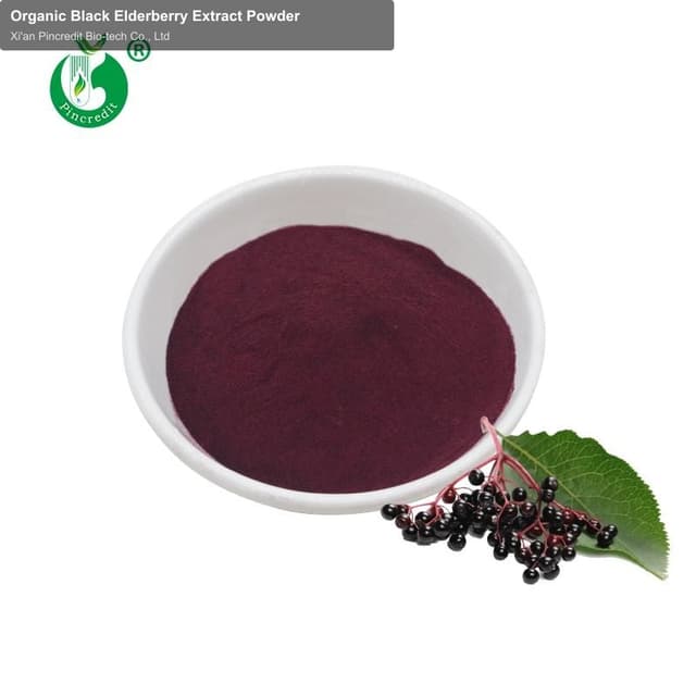 Organic Black Elderberry Extract Powder