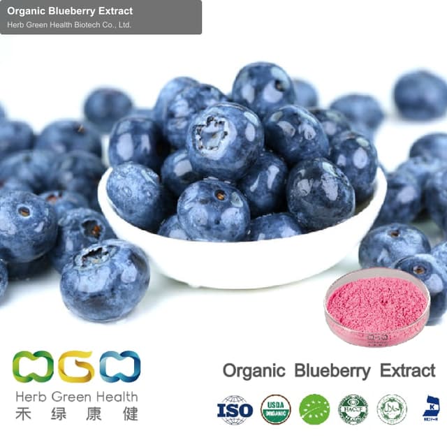 Organic Blueberry Extract