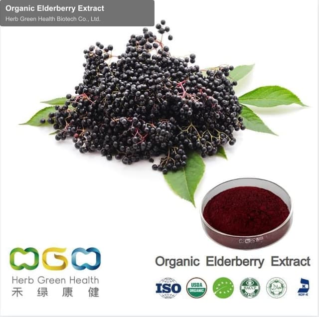 Organic Elderberry Extract