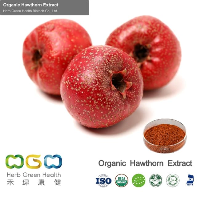 Organic Hawthorn Extract