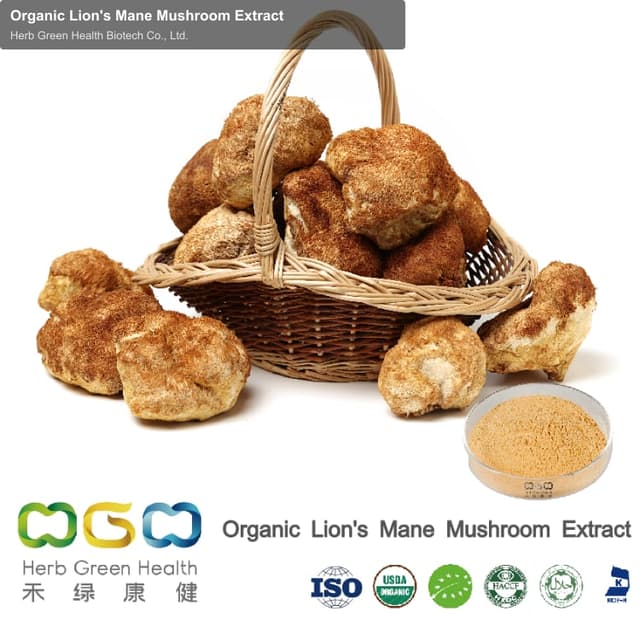 Organic Lion's Mane Mushroom Extract