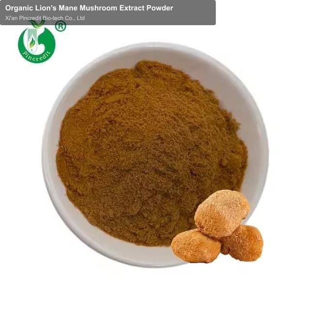 Organic Lion’s Mane Mushroom Extract Powder