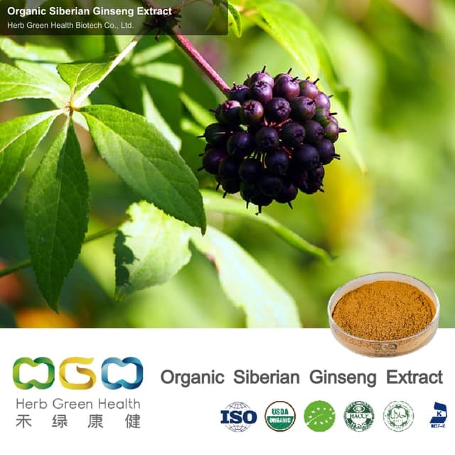 Organic Siberian Ginseng Extract