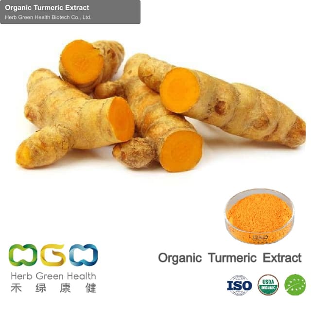 Organic Turmeric Extract