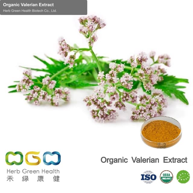 Organic Valerian Extract