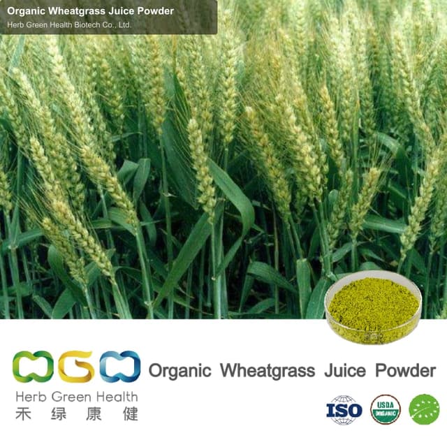 Organic Wheatgrass Juice Powder