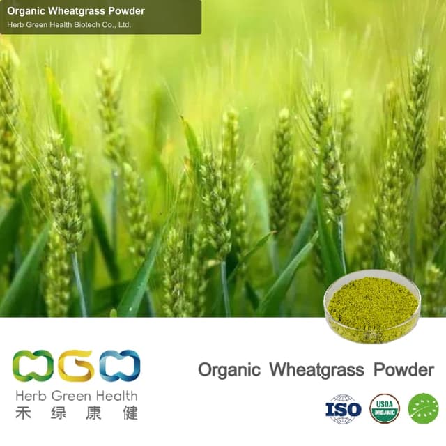 Organic Wheatgrass Powder