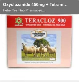 Oxyclozanide 450mg + Tetramisole Hcl 450mg Tablet