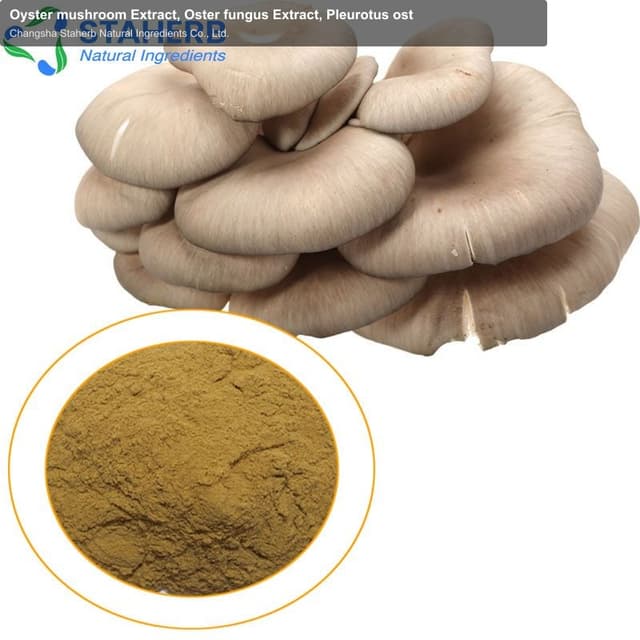 Oyster mushroom Extract, Oster fungus Extract, Pleurotus ost