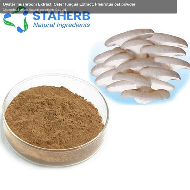 Oyster mushroom Extract, Oster fungus Extract, Pleurotus ost powder