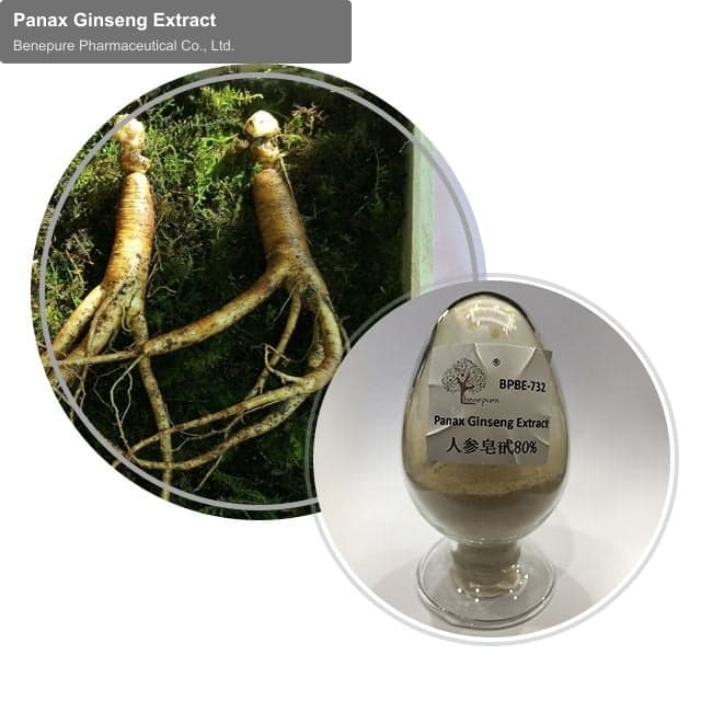 Panax Ginseng Extract