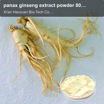 panax ginseng extract powder 80% Ginsenoside