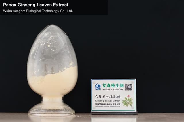 Panax Ginseng Leaves Extract