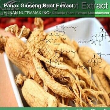 Panax Ginseng Root Extract