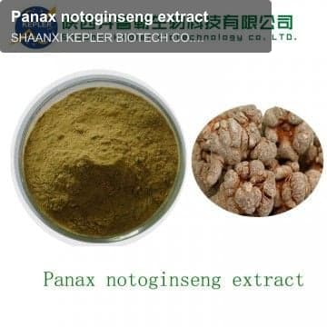 Panax notoginseng extract