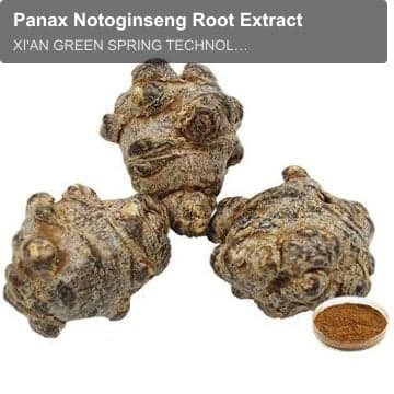 Panax Notoginseng Root Extract