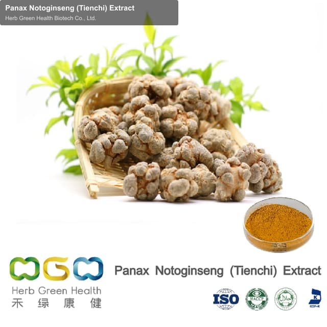 Panax Notoginseng (Tienchi) Extract