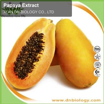 Papaya Extract