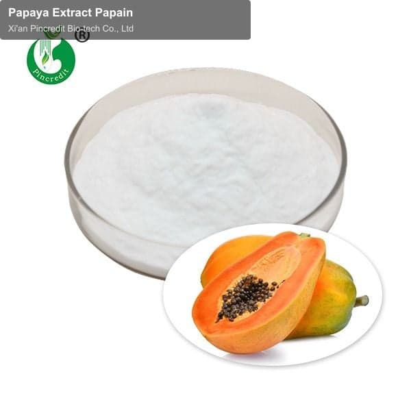 Papaya Extract Papain