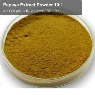 Papaya Extract Powder 10:1