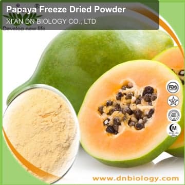 Papaya Freeze Dried Powder