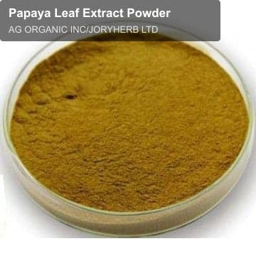 Papaya Leaf Extract Powder