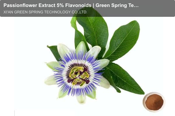 Passionflower Extract 5% Flavonoids | Green Spring Technology