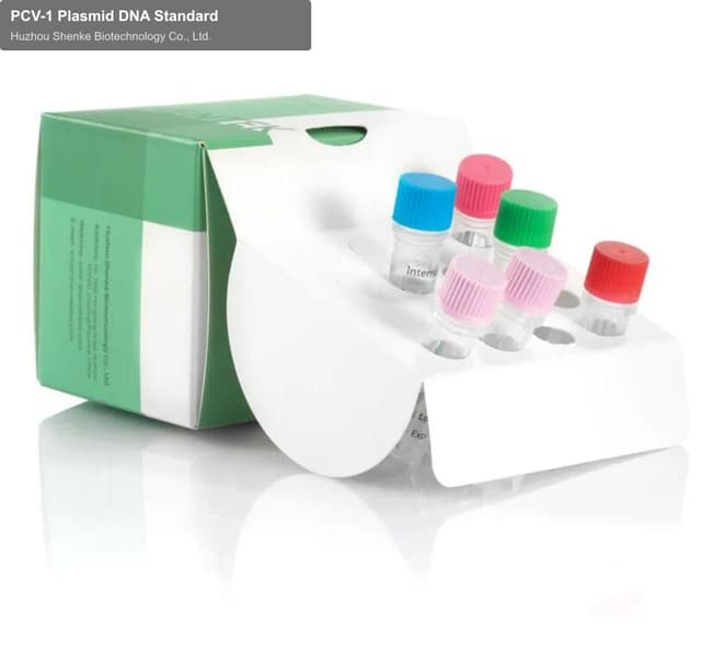 PCV-1 Plasmid DNA Standard