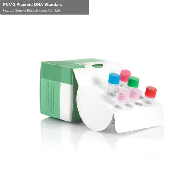 PCV-2 Plasmid DNA Standard
