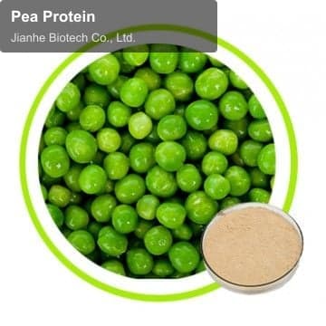 Pea Protein