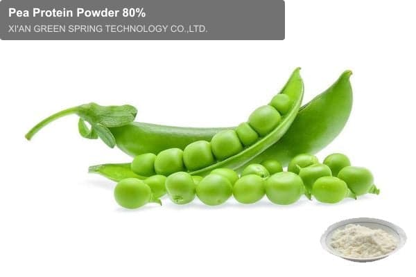 Pea Protein Powder 80%