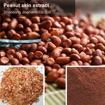 Peanut skin extract