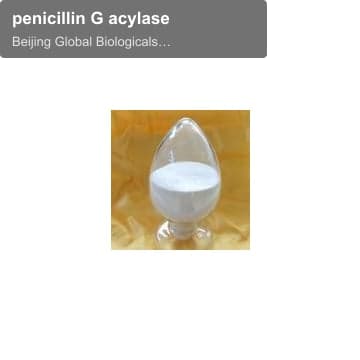penicillin G acylase