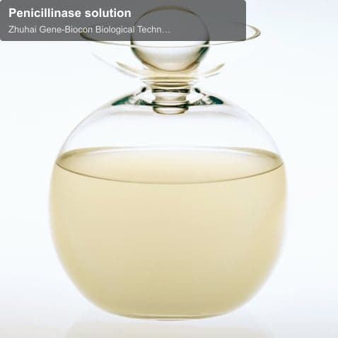 Penicillinase solution