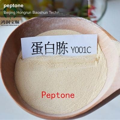 peptone