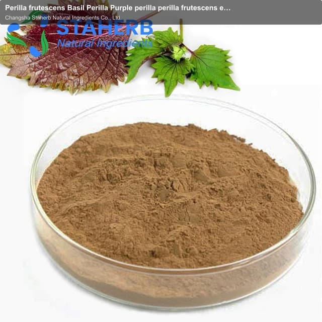 Perilla frutescens Basil Perilla Purple perilla perilla frutescens extract Perilla frutescens