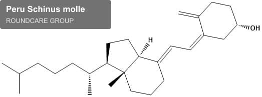 Peru Schinus molle