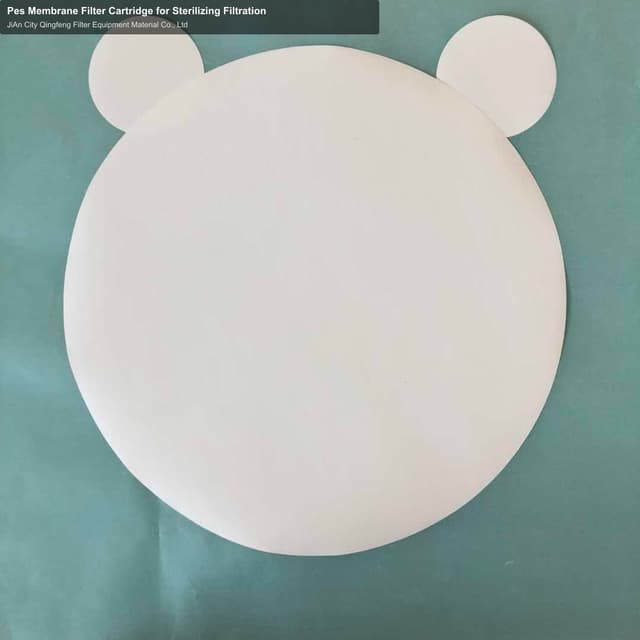 Pes Membrane Filter Cartridge for Sterilizing Filtration