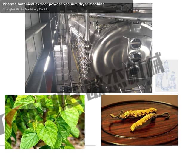 Pharma botanical extract powder vacuum dryer machine